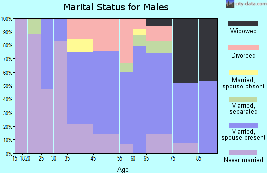 Miller County marital status for males