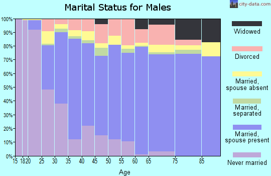 Brazoria County marital status for males