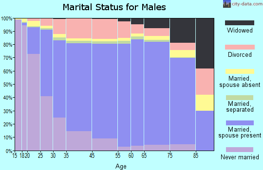 Marion County marital status for males