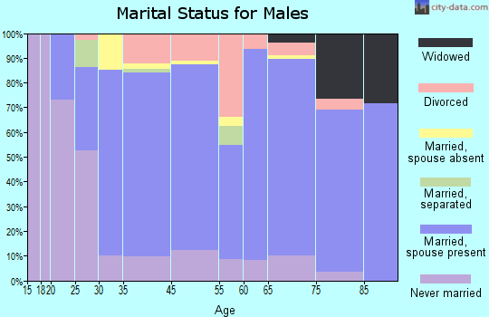 Logan County marital status for males