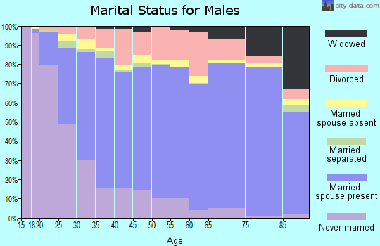 El Paso County marital status for males