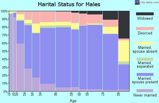 Beaver County marital status for males