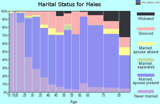 Dickinson County marital status for males