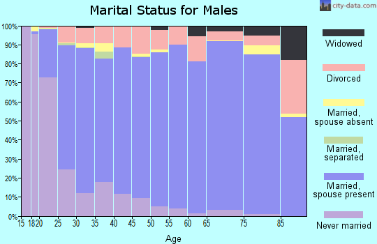 Box Elder County marital status for males