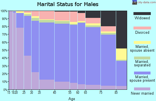 Iron County marital status for males