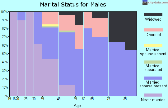 Beaver County marital status for males
