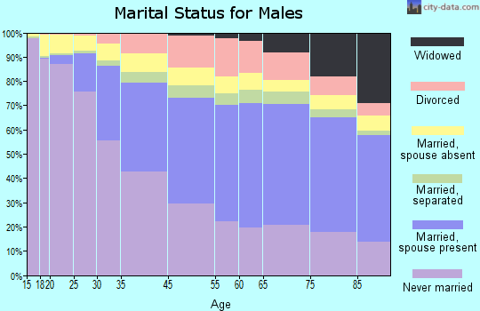 Lorain County marital status for males
