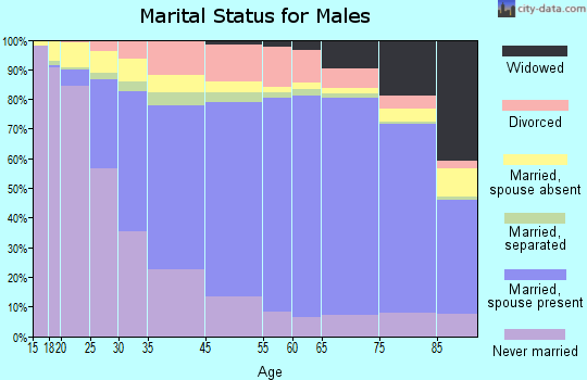 Montour County marital status for males
