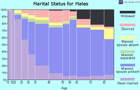 Isle of Wight County marital status for males