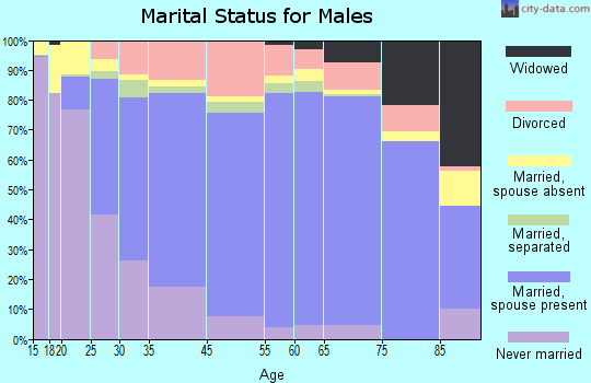 Iowa County marital status for males