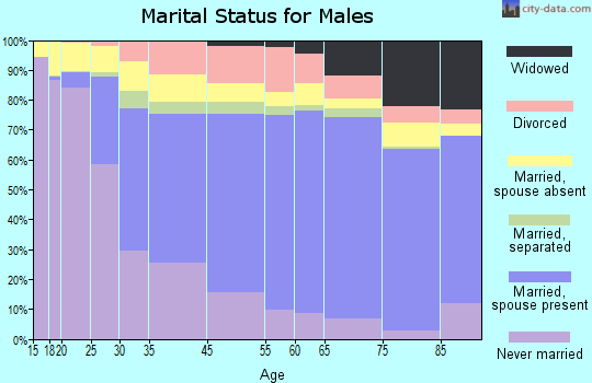 Luce County marital status for males