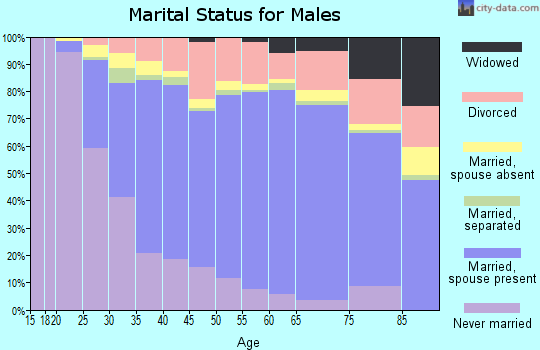 Brazos County marital status for males