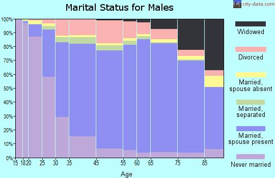 Stillwater County marital status for males