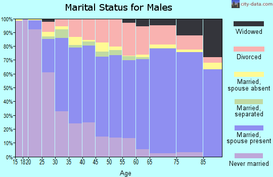 Lewis County marital status for males