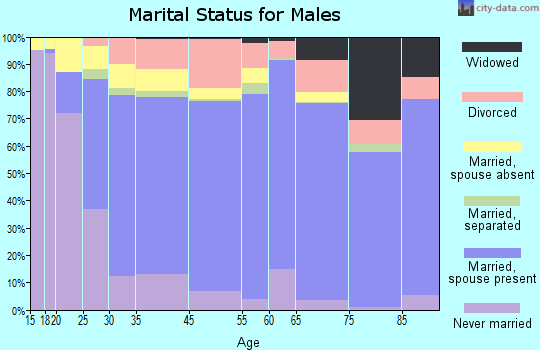 Bledsoe County marital status for males
