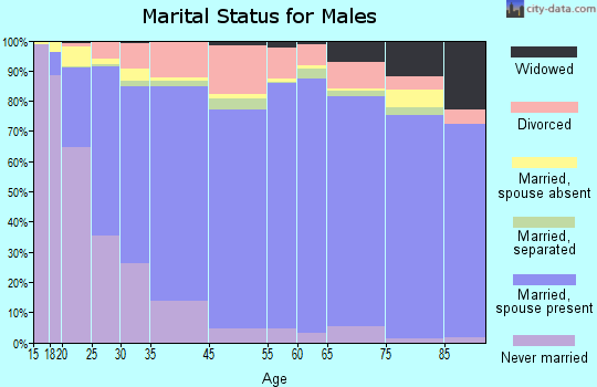 Concho County marital status for males