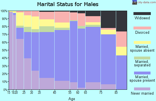 Marion County marital status for males