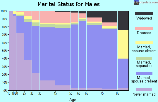 Morrison County marital status for males