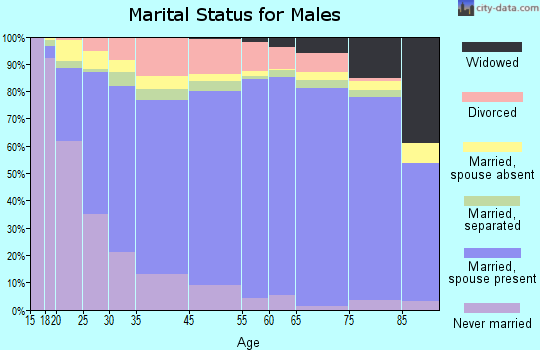 Jasper County marital status for males
