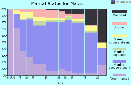 Madison County marital status for males