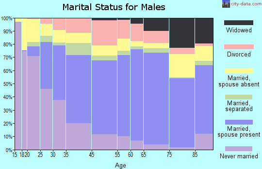 Portage County marital status for males