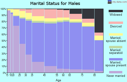Amelia County marital status for males