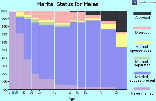 Palm Beach County marital status for males