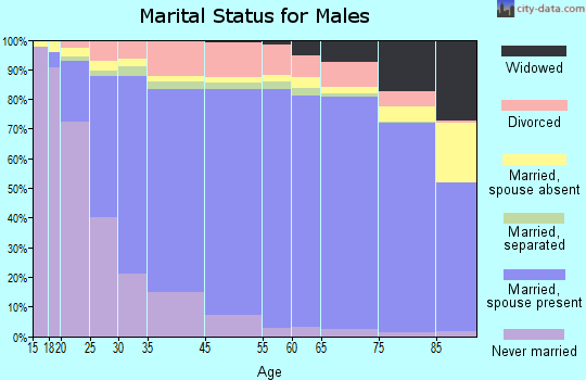 Jasper County marital status for males