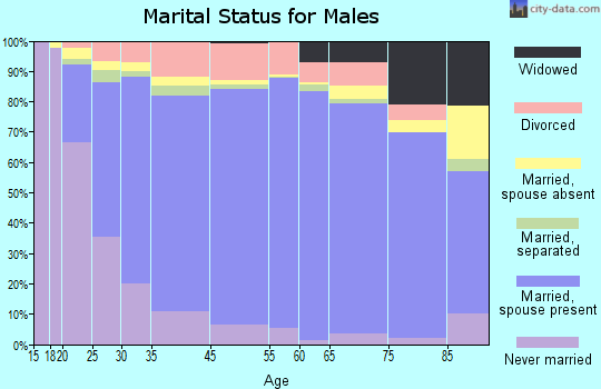 Neshoba County marital status for males