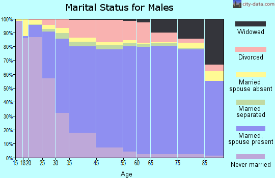 Minnehaha County marital status for males