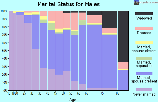 Georgetown County marital status for males