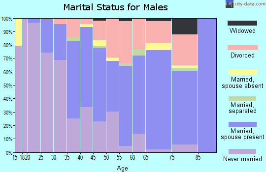 Brewster County marital status for males