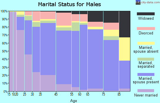Henderson County marital status for males