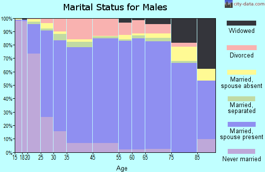 Manistee County marital status for males