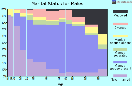 Steuben County marital status for males