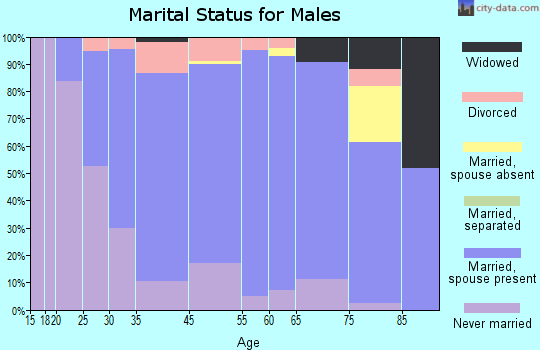 Webster County marital status for males