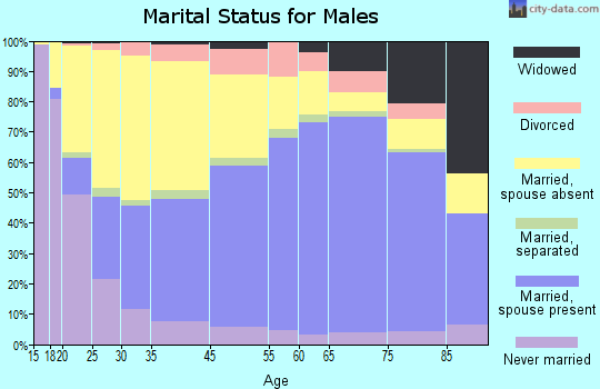 Blount County marital status for males