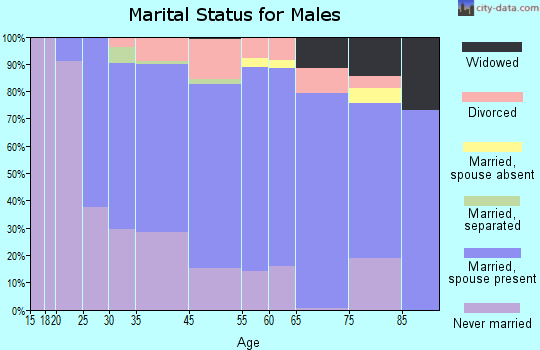 Rio Blanco County marital status for males