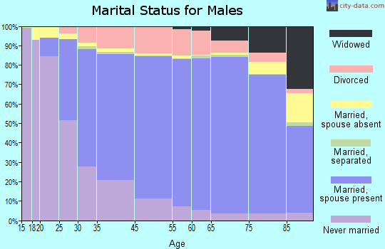 Effingham County marital status for males