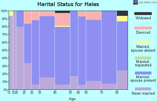 Nicollet County marital status for males