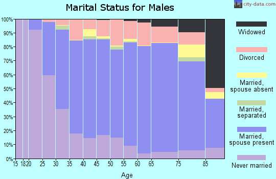 Fillmore County marital status for males