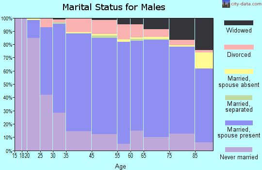 Medina County marital status for males