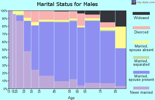 Mason County marital status for males
