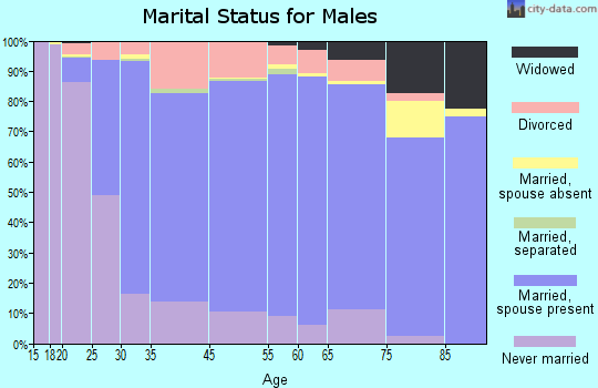Oktibbeha County marital status for males