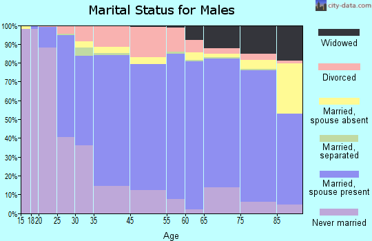 Laclede County marital status for males