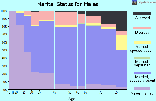 Sullivan County marital status for males