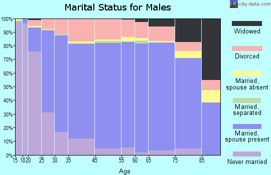 Wirt County marital status for males