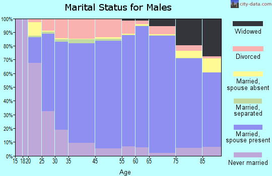 Rock County marital status for males