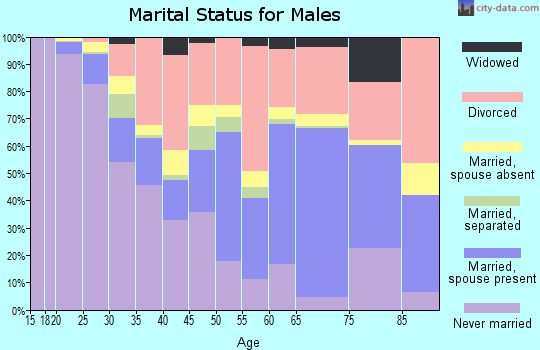 Keokuk County marital status for males