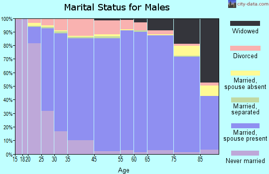 Norman County marital status for males
